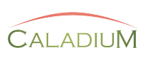 Awesome Brand Image